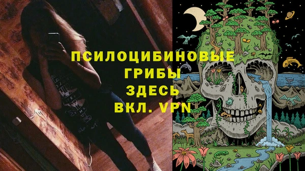 Альфа ПВП Богданович