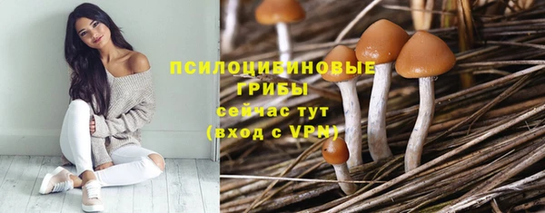 Альфа ПВП Богородск