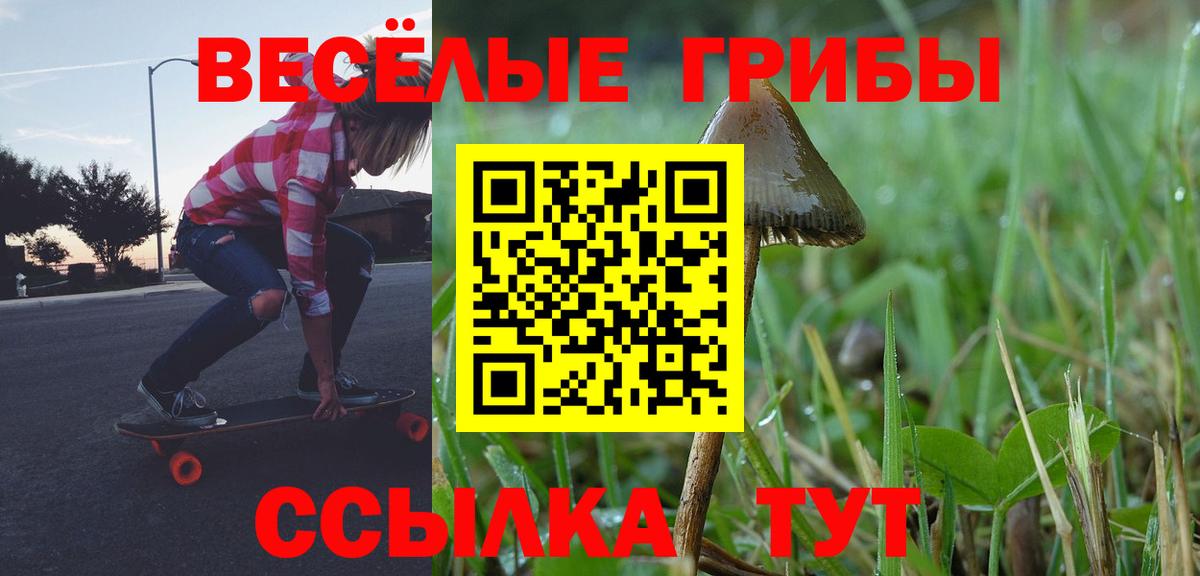 Галлюциногенные грибы MAGIC MUSHROOMS  Вход с VPN  Белореченск 